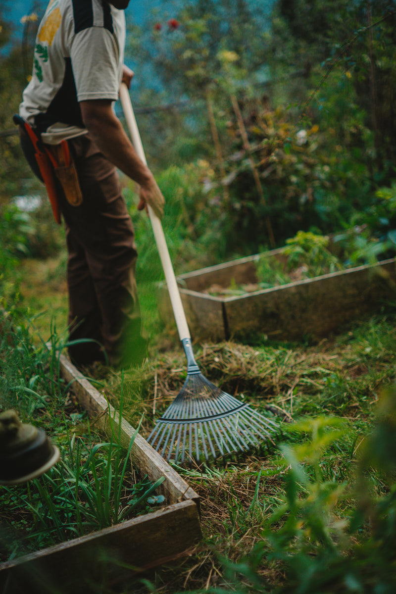 Garden Maintenance